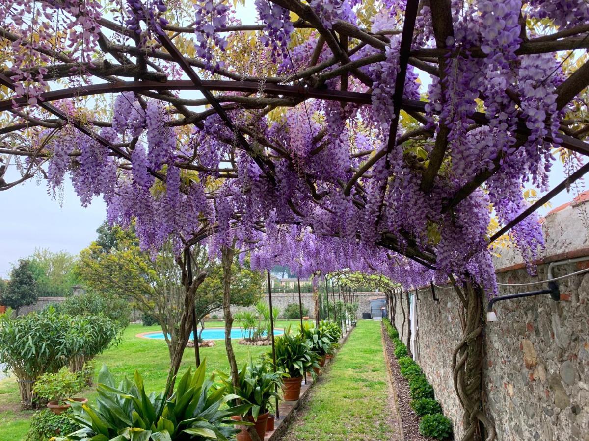 Villa La Preziosa Lucca Bagian luar foto